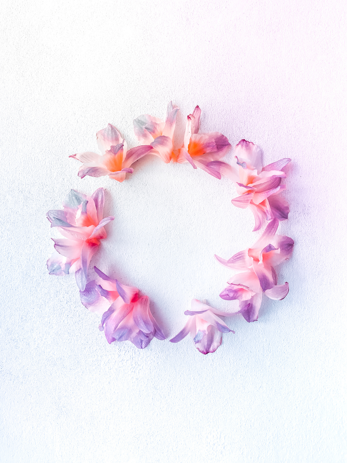 Colorful flower wreath arranged in circle